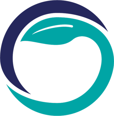 TechnoServe icon